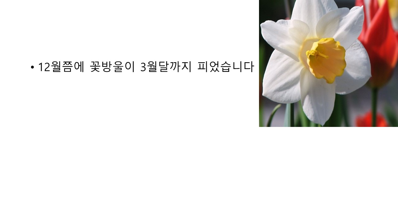 썸네일.jpg