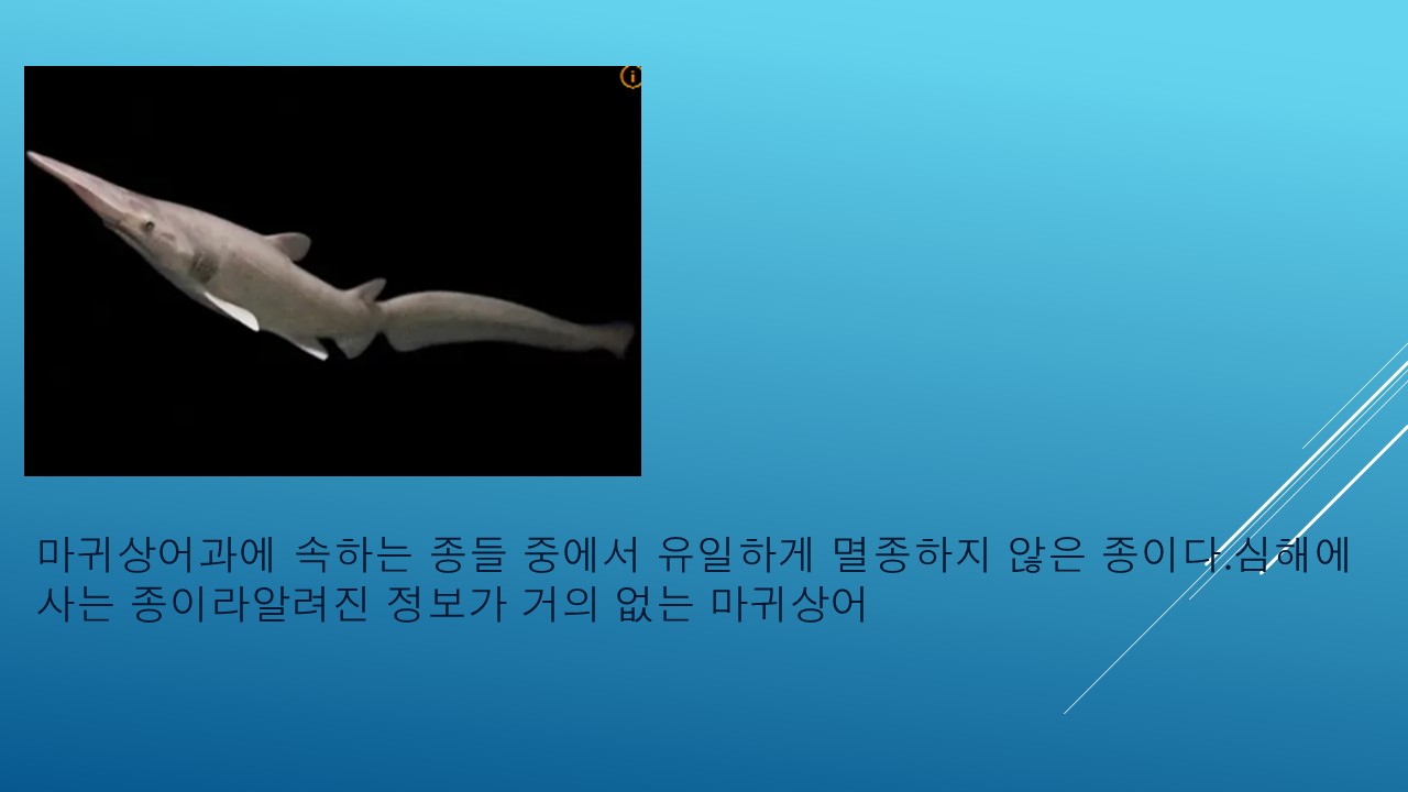 프레젠테이션1 (8).jpg