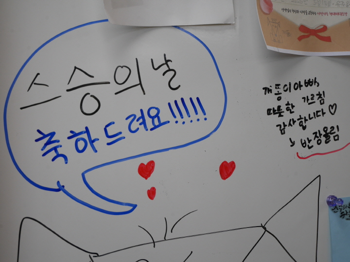 [크기변환]P1390123