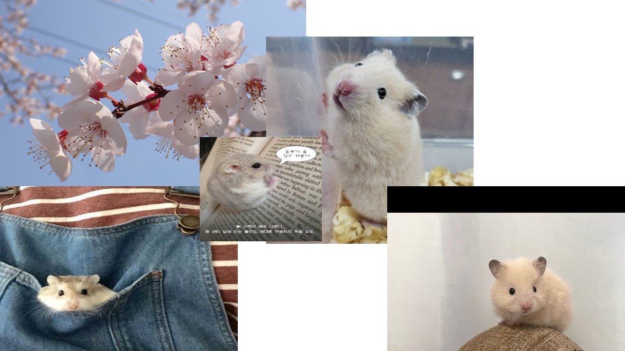 썸네일.jpg