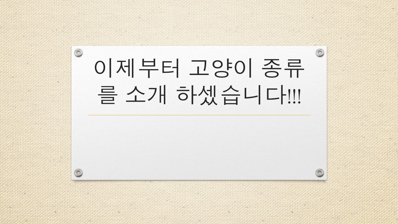 썸네일.jpg